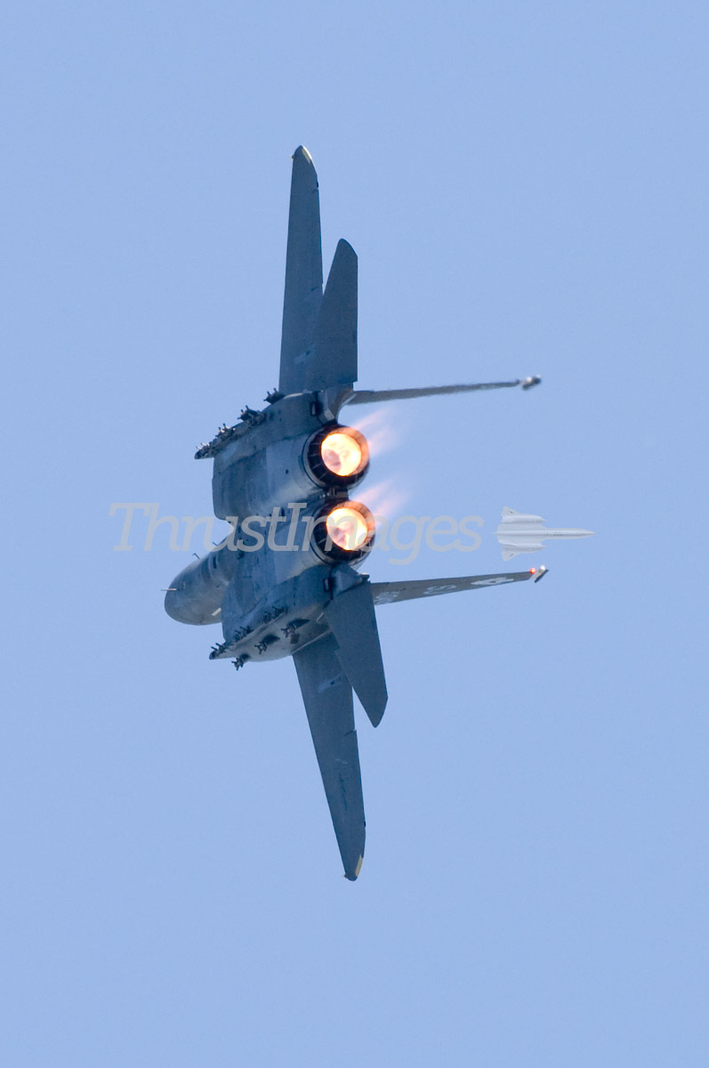 McDonnell Douglas F-15E Strike Eagle 89-0495 / SJ (cn 1142/E117)